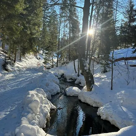 Gierkówka - Górska Rezydencja Pierwszego Sekretarza Zwardoń Zewnętrze zdjęcie