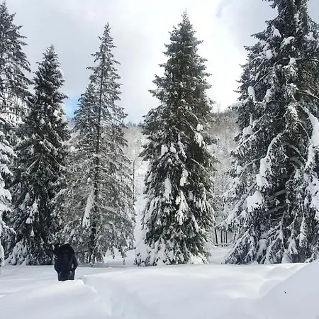Gierkówka - Górska Rezydencja Pierwszego Sekretarza Zwardoń Zewnętrze zdjęcie