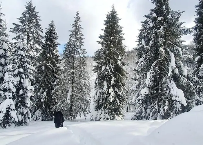Gierkowka - Gorska Rezydencja Pierwszego Sekretarza