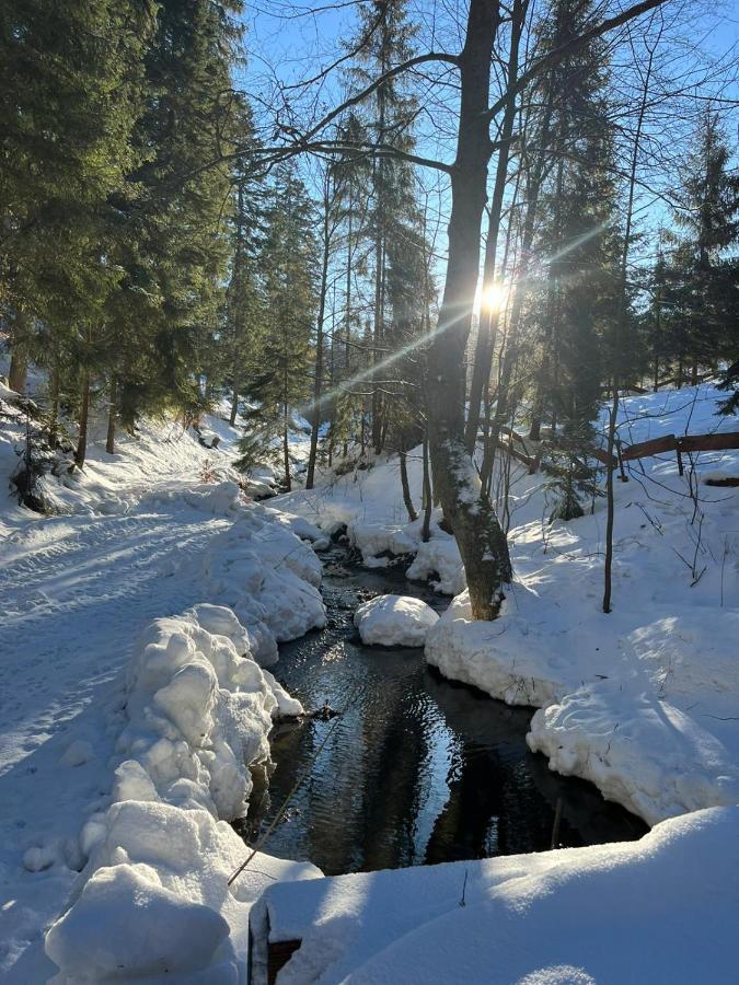 Gierkowka - Gorska Pierwszego Sekretarza Zwardon