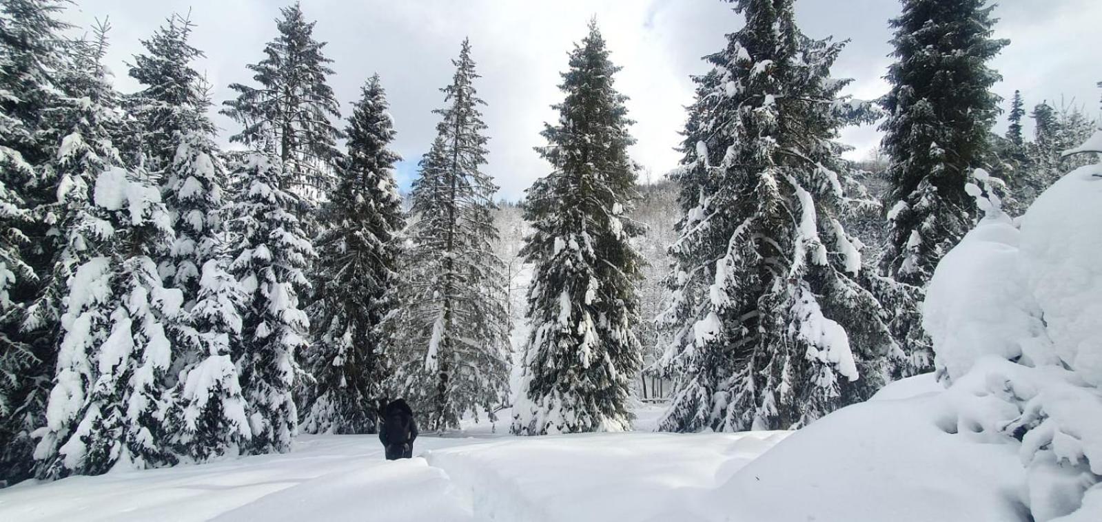 Gierkowka - Gorska Pierwszego Sekretarza *
